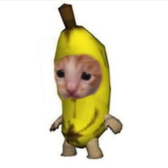 ★~(◠ω◕✿)