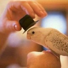 ربيع الدوسري