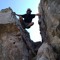 Yousef Barakeh