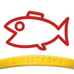 こいのなめかた（R30）