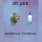 I_cannot_correct-grammar