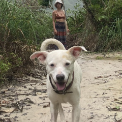 Agatha