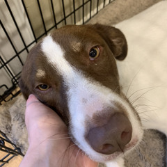 King Krule Npr Music Tiny Desk Concert By Brendan