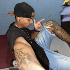 100distino037