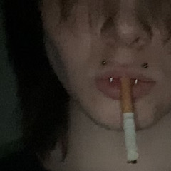 alphie afterlife