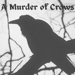 A Murder of Crows