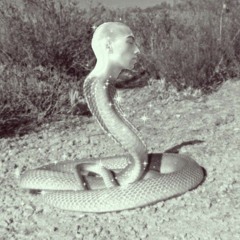 ნიკა კუპრაძე