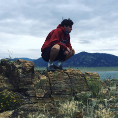 CO$HA