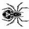 arachnoide