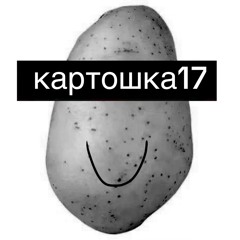 картошка17