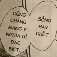 vi vi