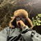 BEAR THUG
