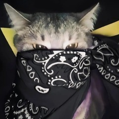 🖤🖤🖤🖤