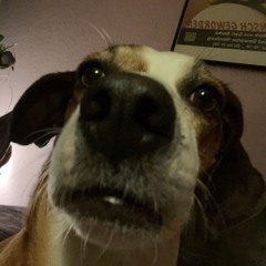 rawrckingroll