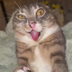 mweo
