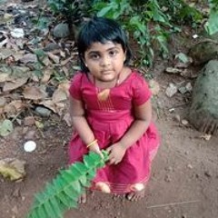 Sajeesh Saji