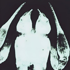 Vestigial eye