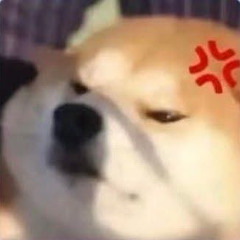 Trường Vũ
