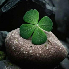 trem da ®️🔝eqp avança 🔥