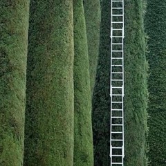 forestman