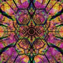 Viaje y Psicodelia Records