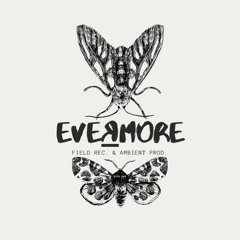 eveʁmore