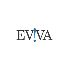 Trusted Google Ads Marketing Company - Eviva