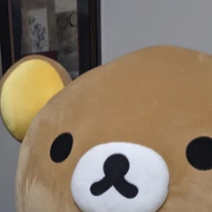 Toast3r