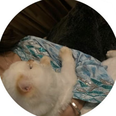 Shahad