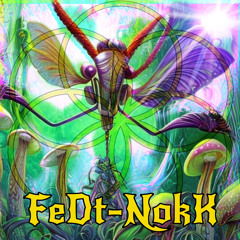 FeDt_NoKk