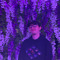 FortExcalibur
