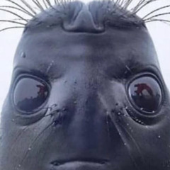 ethan267