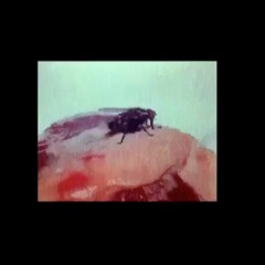 Instruction manual archive