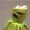 Choppy The Frog