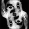 The Leper Conspiracy