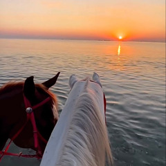 آلاء