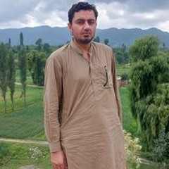 Mohsin Nisar