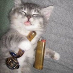 qwiitez