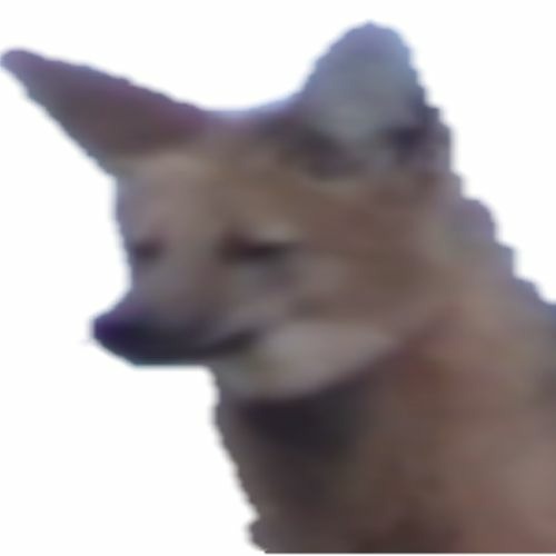 The Fox on Stilts’s avatar