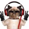 RADIOEX