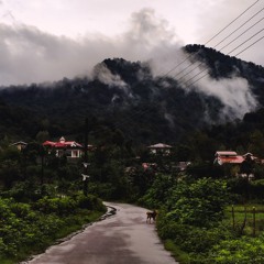 behrang majidian