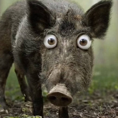 Єва Кривенко