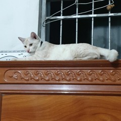 Chai Khun