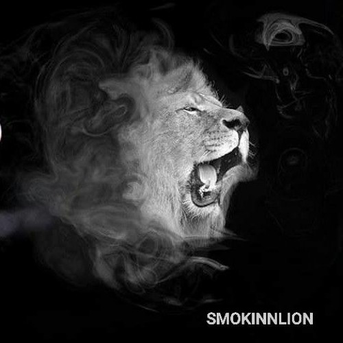 smokinn lion’s avatar