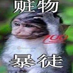 提供折扣