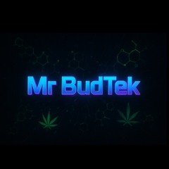 Mr BudTek