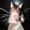 kat the rat