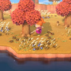 pinkcloudsnight