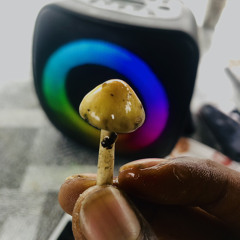 Jasir808