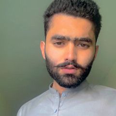 Raja Ali